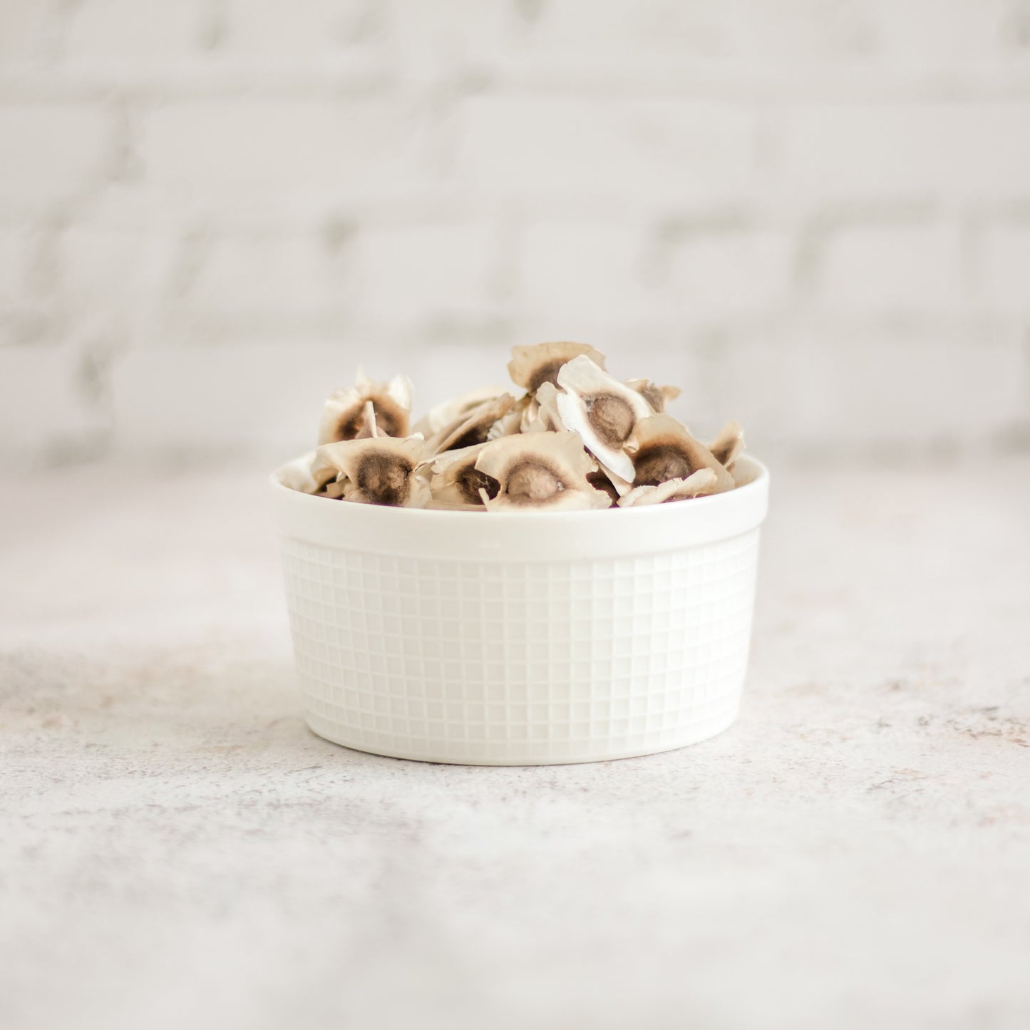 Semilla de moringa