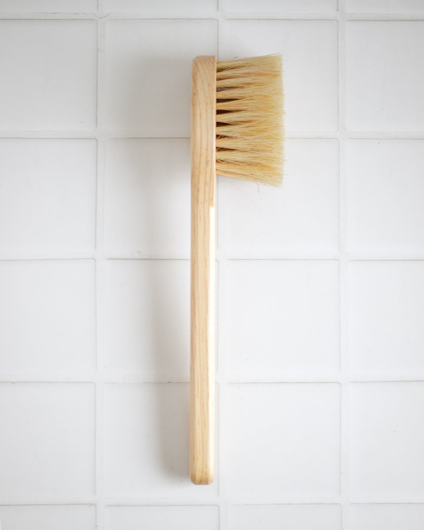 Long Handle Body Brushes